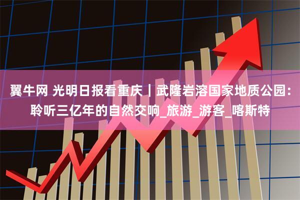 翼牛网 光明日报看重庆｜武隆岩溶国家地质公园：聆听三亿年的自然交响_旅游_游客_喀斯特