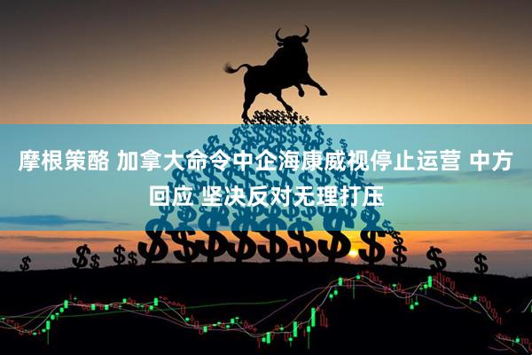 摩根策酪 加拿大命令中企海康威视停止运营 中方回应 坚决反对无理打压
