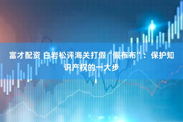 富才配资 白岩松评海关打假“假布布”：保护知识产权的一大步