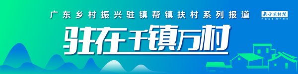东程配资 助农有“芯”招，驻化州新安镇帮扶工作队“果”然给力丨驻在千镇万村⑭