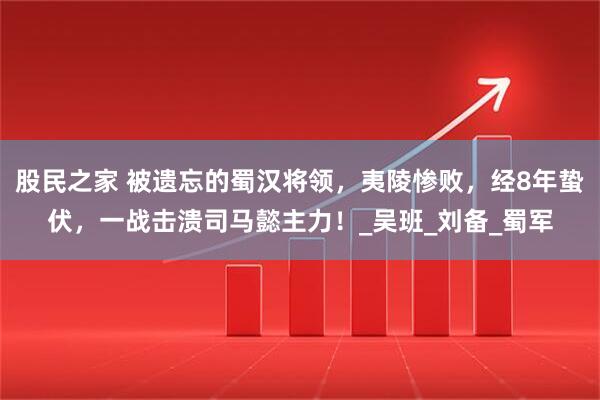 股民之家 被遗忘的蜀汉将领，夷陵惨败，经8年蛰伏，一战击溃司马懿主力！_吴班_刘备_蜀军