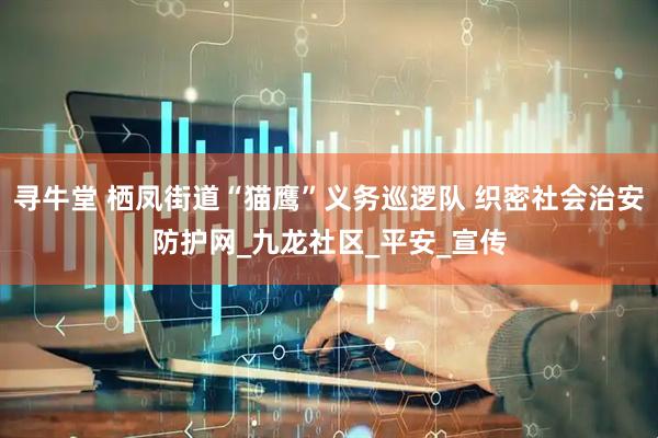 寻牛堂 栖凤街道“猫鹰”义务巡逻队 织密社会治安防护网_九龙社区_平安_宣传
