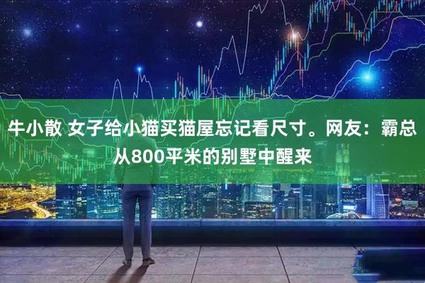 牛小散 女子给小猫买猫屋忘记看尺寸。网友：霸总从800平米的别墅中醒来