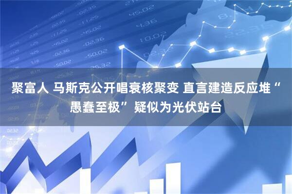聚富人 马斯克公开唱衰核聚变 直言建造反应堆“愚蠢至极” 疑似为光伏站台